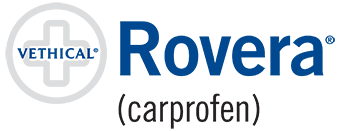 rovera for dogs vethical rovera 174 for dogs chewable tablets or caplets vca animal hospitals rovera for dogs vethical rovera 174 for dogs chewable tablets or caplets vca animal hospitals