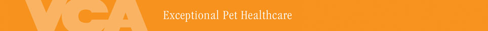 Exceptional Health Care