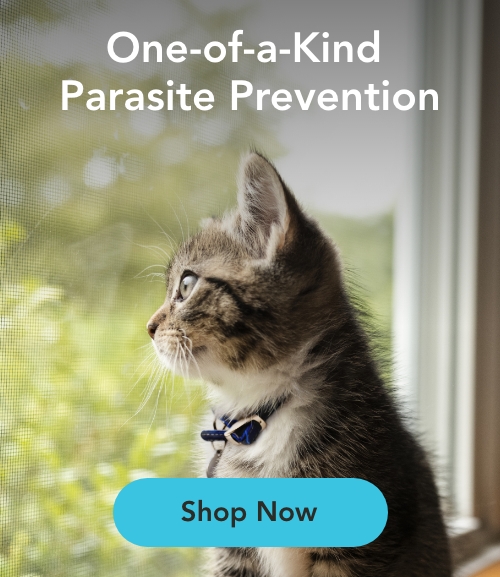 SimpleGuard® Topical Solution for Cats