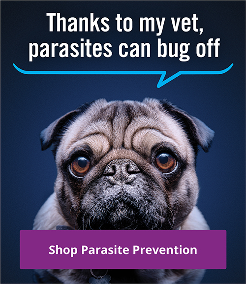 Vethical Pet Care Reminder App for iOS and Android