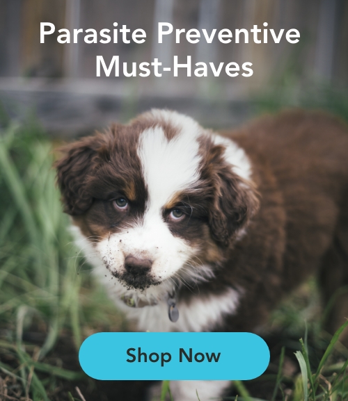 SimpleGuard® 3 Topical Solution for Dogs
