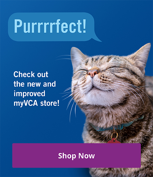 Vethical Pet Care Reminder App for iOS and Android