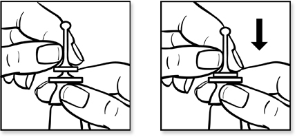 instructions