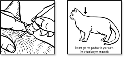 instructions