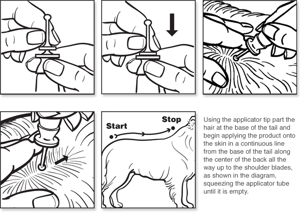 Applying flea treatment clearance